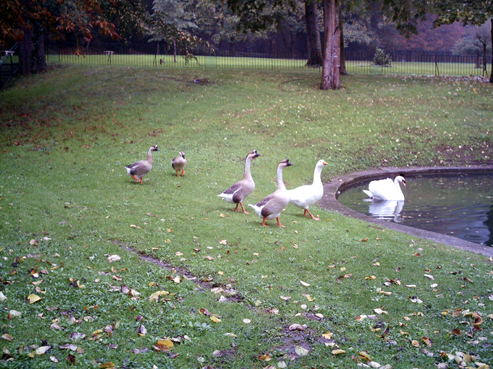 2005-11 WE Cevennes 067.JPG